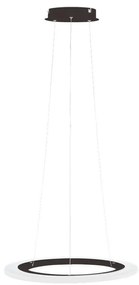 Eglo 202222 - LED полилей на кабел PENAFORTE LED/30,5W/230V черен