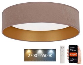 Brilagi - LED Димируем плафон VELVET SMART LED/24W/230V Wi-Fi Tuya + д.у.