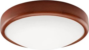 LED таванно осветително тяло LED/12W/230V