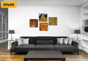 Комплект картини – Есенна природа в красиви цветове