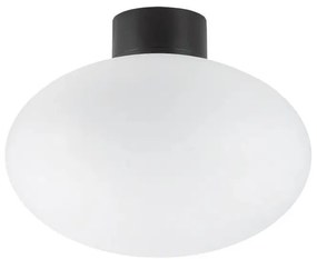 Ideal Lux - Външно таванно осветително тяло CLIO 1xE27/42W/230V IP44 черно