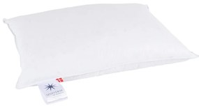 Пълнеж за възглавница с пълнеж от пера 40x80 cm Neptune Low – Universe of Sleeping