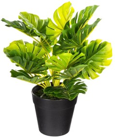 Изкуствено растение atmosphera, 30 cm, Различни видове