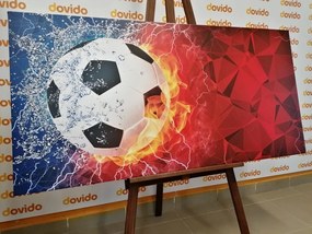 Картина на платно – Футболна топка