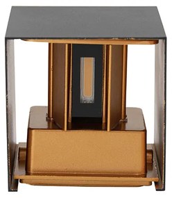 Външна стенна лампа черна със злато с LED 2-светлина IP54 - Edwin