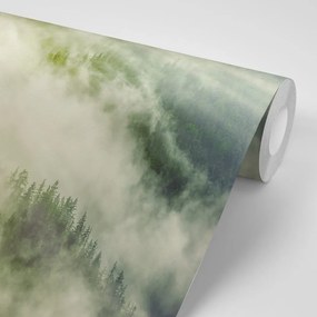 Самозалепващ фототапет – Мъглива гора