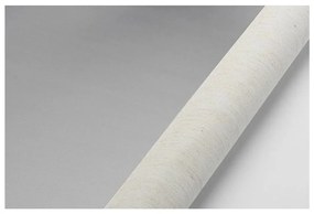 Бежова ролетна щора 80x150 cm Mini Termo – Gardinia