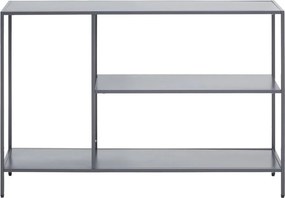 Сива стоманена конзолна маса 30x120 cm Acero – Premier Housewares