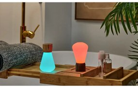 Настолна лампа с възможност за затъмняване в естествен цвят (височина 13 см) Pentagon - Gingko