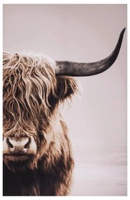Картина atmosphera Animal, Принт на платно 75x115 см, Асорти дизайни