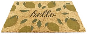 Изтривалка от кокосови влакна 40x60 cm Hello Lemons – Artsy Doormats