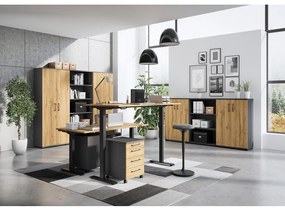 Работна маса с електрическо регулиране на височината с дъбов плот 80x180 cm Agenda – Germania