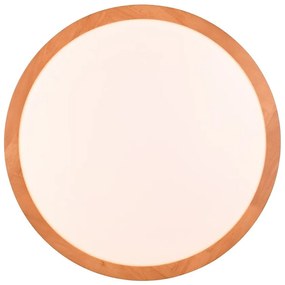 Светлокафяво LED осветление за таван ø 40 cm Iseo - Trio