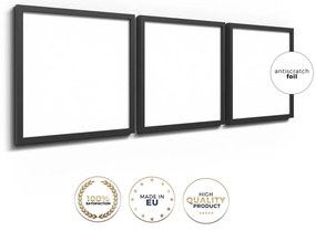 Картини в комплект 3 бр. 30x30 cm Pampas – Styler