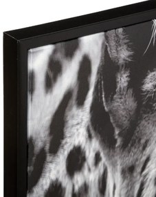 Картина atmosphera Leopard, 58x58 cm