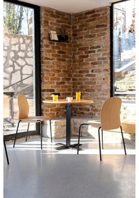 Кафяви/в цвят кафяв коняк трапезни столове в комплект за подреждане 2 бр. от декор от орех Book – Gazzda