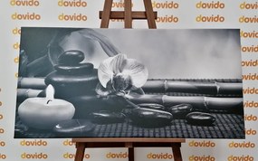 Картина на платно – Фън Шуй натюрморт в черно-бяло