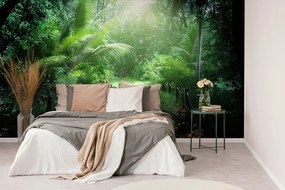 Самозалепващ фототапет – Пътечка на остров Сейшели