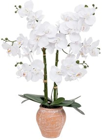 Изкуствено растение atmosphera Dena Orchid, 65 cm