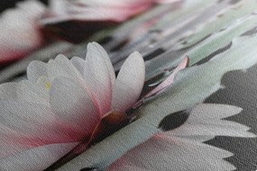 Картина на платно – Лотосов цвят