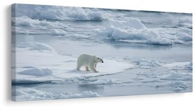 Картина на платно – Полярна мечка на ледена плоча