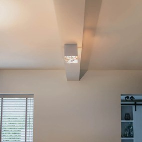 Дизайнерски прожектор с правоъгълна AR111 2-светлина - Box