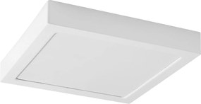 Rabalux Shaun2 Вградени и повърхностно монтирани лампи IP20 LED 24W 4000K 71197