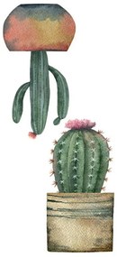 Декоративни стикери за стъкло Cactus S
