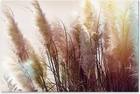 "Мек пампас" картина на платно цифрово печатане 90x60x3см.