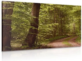 Картина на платно – Зелена гора