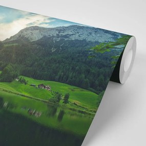 Фототапет – Живот в планините
