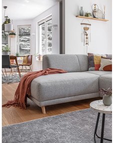 Светлосив разтегателен/с място за съхранение ъглов диван (ляв ъгъл/L форма) Classy Sophie – Miuform