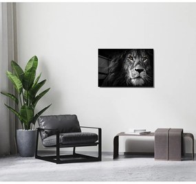 Картина върху стъкло 70x50 cm Lion - Wallity