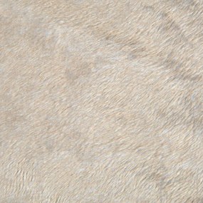 Бежово велурено легло за домашни любимци за куче 107x62 cm Flakes – Love Story