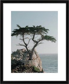 Картина 40x50 cm View – knor