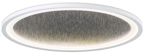 Brilliant - LED Димируем плафон TANIDA LED/31W/230V 3000-6500K + д.у.