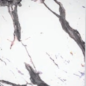 Плот Bianco carrara ф70 код 317