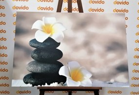 Картина на платно – Хармонични камъни и цвете плумерия