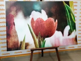 Картина на платно – Ливада от лалета в ретро стил