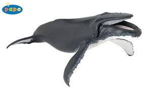 Papo - Фигурка Humpback Whale 56001G