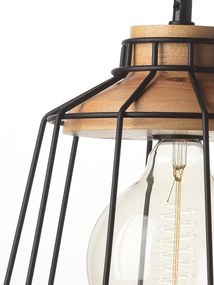 Полилей Lynch