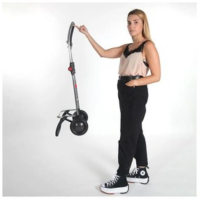 Пазарска чанта на колелца 43 l Mini Bag MF 2 Logic – Rolser