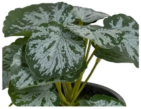 Изкуствено растение (височина 21,5 cm) Saxifraga – Ixia