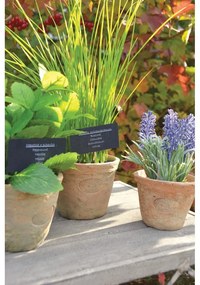 Изкуствено растение (височина 27 cm) Chives – Esschert Design