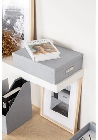 Картонени органайзери за докумнети в комплект от 5 бр. Holger – Bigso Box of Sweden