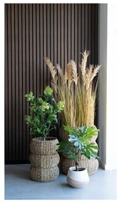 Изкуствено растение (височина 60 cm) Fig – House Nordic