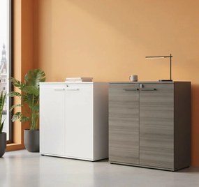 Кабинет Vaulta-Leuko