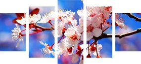 картини от 5 части – Цвят на череша