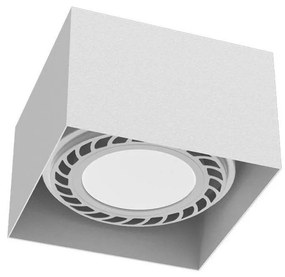 Brosline 1268 - Точково осветително тяло CAGE 1xGU10/18W/230V бяло