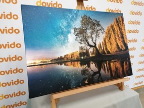 Картина на платно – Дърво под звездното небе